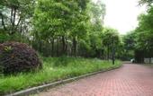 Туры в отель Tizi Hostel
