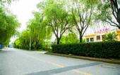 Туры в отель Tizi Hostel