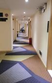 Туры в отель Qicheng Hotel (Shenzhen Gongming Heshuikou Metro Station Branch)
