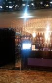 Туры в отель Ziwei Shishang Hotel