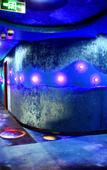 Туры в отель Shanghai Hongting Zhenxuan Hotel
