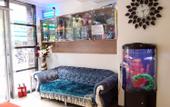 Туры в отель Yilin Xianghe Hotel
