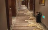 Туры в отель Meichen Hotsping Business Hotel