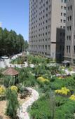 Туры в отель New Silk Road International Hotel