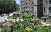 Туры в отель New Silk Road International Hotel