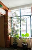 Туры в отель Huaming Hotel
