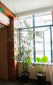 Туры в отель Huaming Hotel