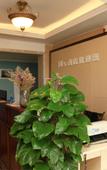 Туры в отель Wake up by Dream Hotel (Chengdu Happy Valley Jinfu Subway Station Branch)