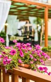 Туры в отель Dijing Hotel