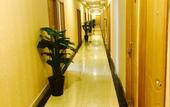 Туры в отель JunXing Hotel