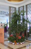 Туры в отель Exquisite Hotel