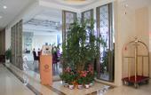 Туры в отель Exquisite Hotel