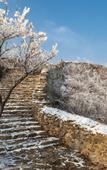 Туры в отель Qingliangzhai Resort Hotel