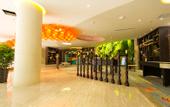 Туры в отель M.King Hotel