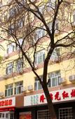 Туры в отель Yinchuan Eye Hospital & Ningxia Hui Autonomous Region Government Branch