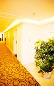 Туры в отель Chengdu Shangheng Hotel (Weicongci Metro Station Store, Pidu District)