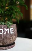 Туры в отель Pebble Motel (Guangzhou Conghua Street North Highway Intersection)