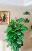 Туры в отель Vienna International Hotel (Ronggui Fisherman's Wharf)