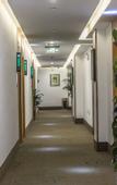 Туры в отель GreenTree Hotel (Yangzhou Railway Station)