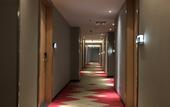 Туры в отель Borrman Hotel (Jingzhou Jiangjin West Road Wanda Plaza Branch)