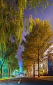 Туры в отель Qingshan Hotel Yingbin Building