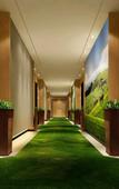 Туры в отель Fangyuan Yuyu Hotel (Luoyang Railway Station Dennis David World)
