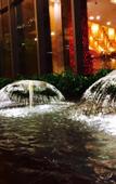 Туры в отель Peony Harbor City Hotel