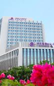 Туры в отель Peony Harbor City Hotel