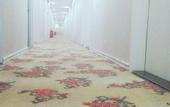 Туры в отель HanTing Hotel (Guangzhou Huadu Square Metro Station)
