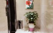Туры в отель HanTing Hotel (Guangzhou Huadu Square Metro Station)