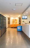 Туры в отель Homeinn Hotel (Harbin Xuefu Road Yida Second Hospital Subway Station)