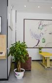 Туры в отель Bafaimile Hotel (Shiyan Hongfa World Branch)