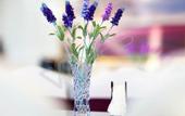 Туры в отель Lavande Hotels (Ji'nan Quancheng Road Baotu Spring)