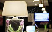 Туры в отель Lavande Hotels (Ji'nan Quancheng Road Baotu Spring)
