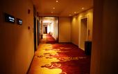 Туры в отель Spring International Hotel