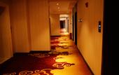 Туры в отель Spring International Hotel
