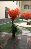 Туры в отель Qinghai Baiyun Xiangling Hotel