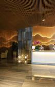 Туры в отель ICON LAB Aiken Hotel (Wanda Plaza), Nanshan District, Shenzhen