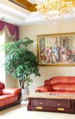 Туры в отель Weirden International Hotel