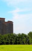 Туры в отель Mangrove Tree Resort World (Coral Tower)