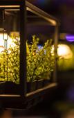 Туры в отель YESTE INT'L Hotel
