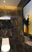 Туры в отель Vyluk Hotel (Shenzhen Gongming Haojing)