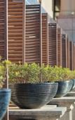 Туры в отель Chen · Tingyuan Hot Spring Hotel