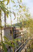 Туры в отель Dongli 3+1 Fellow Friends Inn