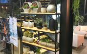 Туры в отель Chase Dream Creative Community (Guangzhou Tianhe Bus Terminal)