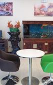 Туры в отель GreenTree Inn (Qinghuangdao Railway Station Square)