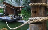 Туры в отель Seclusion Design Hotel (Zhoushan Putuo Kaisa Texture)