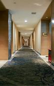 Туры в отель Garman Hotels & Resorts (Dongguan Songshan Lake)