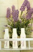 Туры в отель Lavande Hotels (Huai'an Zhou Enlai Former Residence)