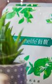 Туры в отель Lavande Hotel (Wuhan Fanhai CBD)